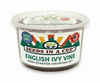 Celery Grow Kit | Grow Celery from Seed | Seeds In A Cup®