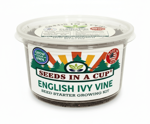 Celery Grow Kit | Grow Celery from Seed | Seeds In A Cup®