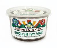 Cumin Grow Kit | Grow Fresh Cumin from Seed | Seeds In A Cup®