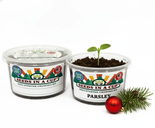 Parsley Grow Kit | Grow Fresh Parsley from Seed | Seeds In A Cup®