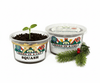 Squash Grow Kit | Grow Squash from Seed | Seeds In A Cup®