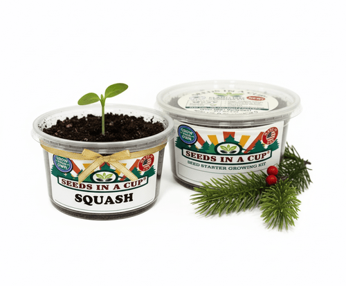 Squash Grow Kit | Grow Squash from Seed | Seeds In A Cup®
