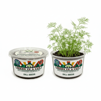 Sunflower Grow Kit | Grow Giant Sunflowers from Seed | Seeds In A Cup®