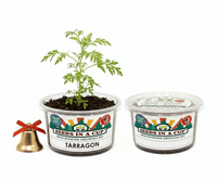 Tarragon Grow Kit | Grow Fresh Tarragon from Seed | Seeds In A Cup®