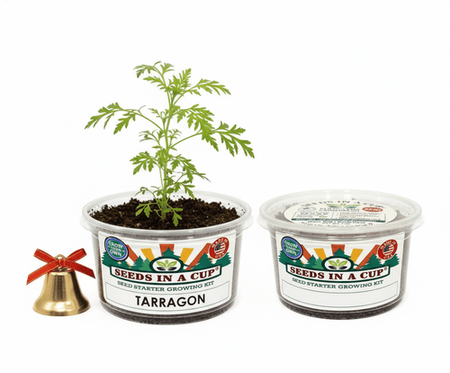 Tarragon Grow Kit | Grow Fresh Tarragon from Seed | Seeds In A Cup®