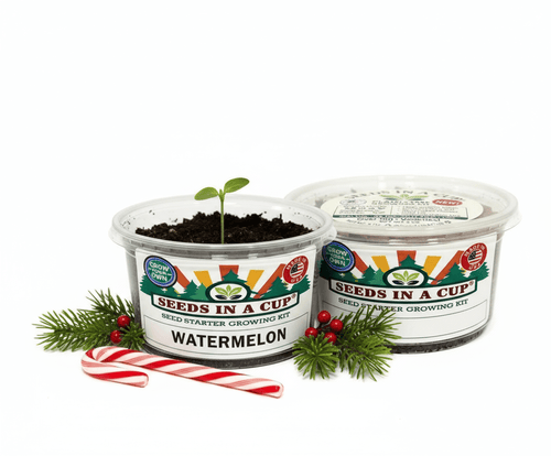 Watermelon Grow Kit | Grow Crimson Sweet Watermelon from Seed | Seeds In A Cup®