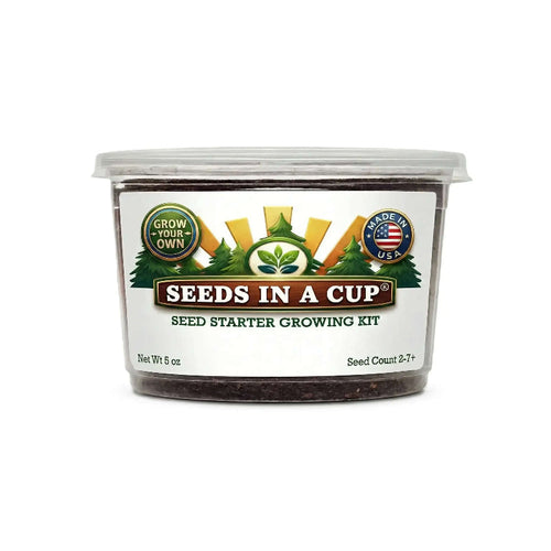Onion Grow Kit | Grow Onion from Seed | Seeds In A Cup®