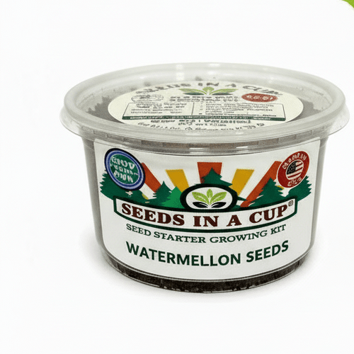 Celery Grow Kit | Grow Celery from Seed | Seeds In A Cup®