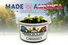Thyme Grow Kit | Grow Fresh Thyme from Seed | Seeds In A Cup®