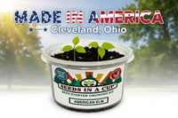 Seeds In A Cup®: All-in-One Indoor Micro-Garden Grow Kit - Kids Discovery Garden