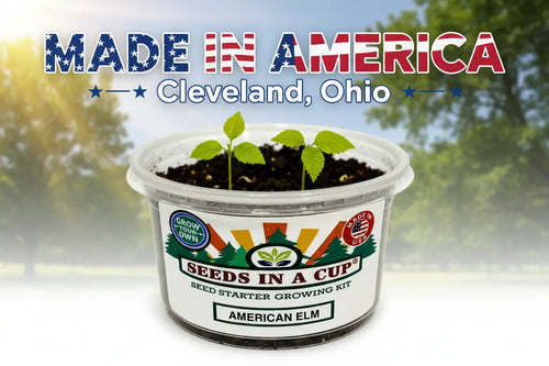Seeds In A Cup®: All-in-One Indoor Micro-Garden Grow Kit - Kids Discovery Garden