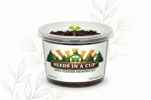 Honeydew Melon Grow Kit | Grow Honeydew Melon from Seed | Seeds In A Cup®
