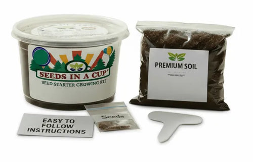 Pea Grow Kit | Grow Pea from Seed | Seeds In A Cup®
