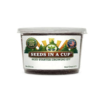 American Elm Grow Kit | Grow Elm Tree from Seed | Seeds In A Cup®