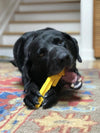 Pipe Wrench Nylon Dog Toy for Aggressive Chewers | USA Made | SodaPup