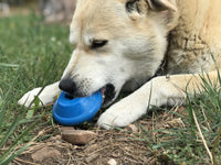 Flying Saucer Dog Toy - Durable UFO Chew Toy & Treat Dispenser | USA Made