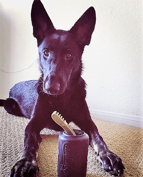 Magnum Can Toy Rubber Dog Chew Toy for Extreme  Chewers | Treat Dispenser | USA Made