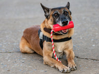 USA-K9 Firecracker Floating Training Dummy | K9 Handler Reward Toy | Red | USA Made