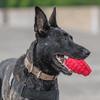 USA-K9 Grenade Rubber Dog Chew Toy | K9 Handler eDispenser Toy | Red & Blue | USA Made