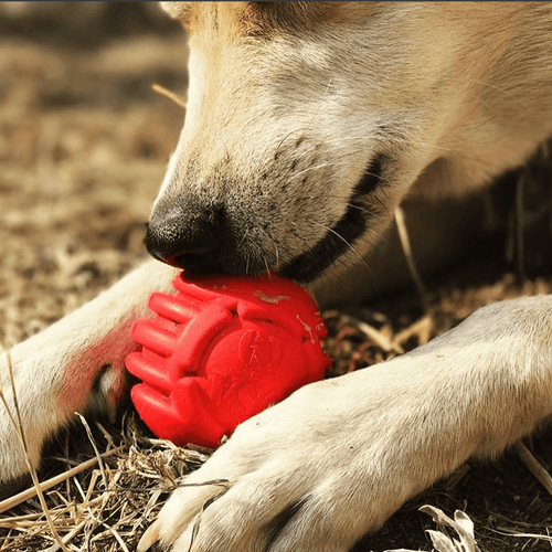 USA-K9 Stars and Stripes Rubber Dog Toy | K9 Handler Reward Toy | Red | USA Made
