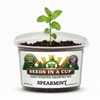 Spearmint Grow Kit | Grow Fresh Spearmint from Seed | Seeds In A Cup®