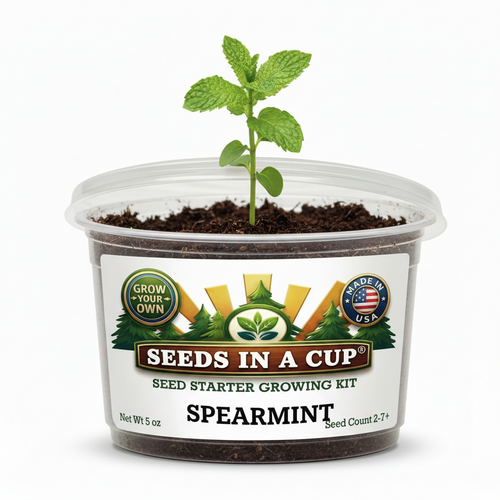 Spearmint Grow Kit | Grow Fresh Spearmint from Seed | Seeds In A Cup®