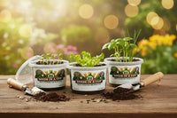 Thyme Grow Kit | Grow Fresh Thyme from Seed | Seeds In A Cup®