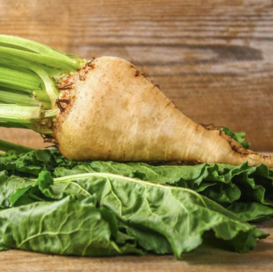 South Mountain Nursery Sugar Beet - 250 Seeds - Non-Gmo Heirloom