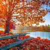 South Mountain Nursery Sugar Maple Tree - 20 Seeds - Acer Saccharum, Colorful and Easy to