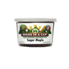Sugar Maple Tree Grow Kit | Grow Sugar Maple from Seed | Seeds In A Cup®