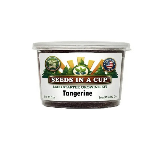 Tangerine Tree Grow Kit | Grow Tangerine from Seed | Seeds In A Cup®