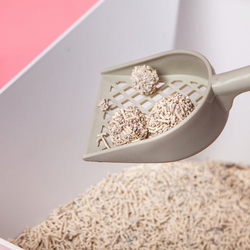 Touchcat 'Litter-ally Natural' Absorbant and Clumping Cat Litter w/ New Technology - w/ Active Carbon