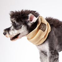 Touchdog Heavy Knitted Designer Fashion Winter Dog Scarf