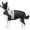 X-Small / Black, Grey
