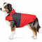 X-Small / Red, Charcoal Black