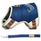 X-Small / Royal Blue