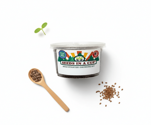 Carrot Grow Kit | Grow Carrot from Seed | Seeds In A Cup®