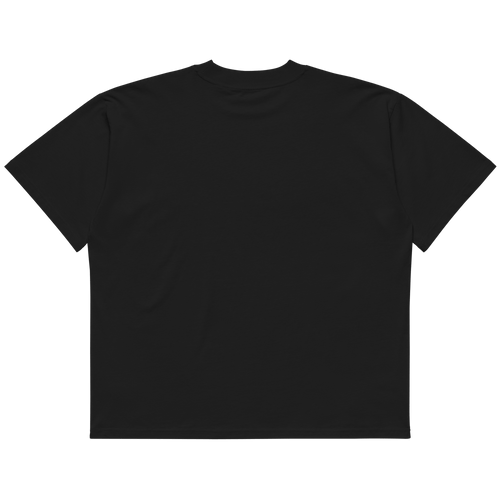 STS “Stay Hidden Stay Secure” Cybersecurity Oversized Organic High-Neck T-Shirt