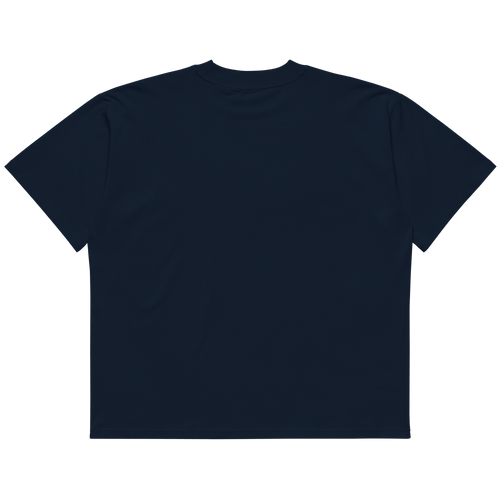 STS “Stay Hidden Stay Secure” Cybersecurity Oversized Organic High-Neck T-Shirt