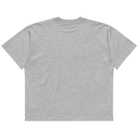 STS “Stay Hidden Stay Secure” Cybersecurity Oversized Organic High-Neck T-Shirt