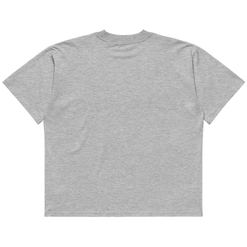 STS “Stay Hidden Stay Secure” Cybersecurity Oversized Organic High-Neck T-Shirt