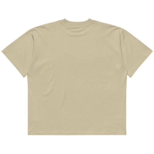 STS “Stay Hidden Stay Secure” Cybersecurity Oversized Organic High-Neck T-Shirt