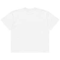STS “Stay Hidden Stay Secure” Cybersecurity Oversized Organic High-Neck T-Shirt