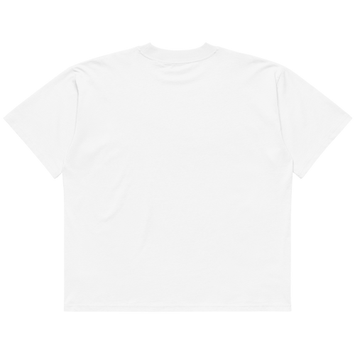 STS “Stay Hidden Stay Secure” Cybersecurity Oversized Organic High-Neck T-Shirt