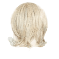 Raquel Welch Upstage Wig, New With Tags - Choose Size