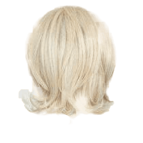 Raquel Welch Upstage Wig, New With Tags - Choose Size