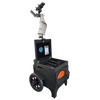 Rogue Iron Disc Golf Cart