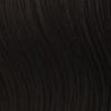 VIP Collection Synthetic Clip-In Extensions / Onyx Style