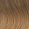 VIP Collection Synthetic Clip-In Extensions / Onyx Style