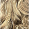 R25  Ginger Blonde